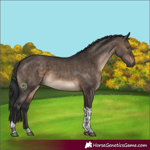 Horse Color:Brown Dun Tobiano 