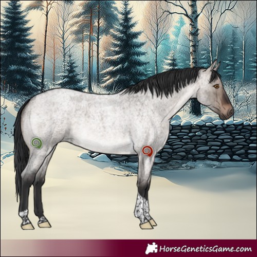 Horse Color:Brown Roan Dun Mushroom Tobiano Brindle 