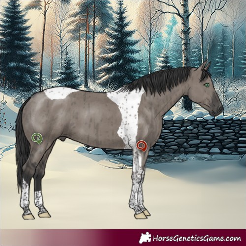 Horse Color:Grullo Mushroom Tobiano Brindle 