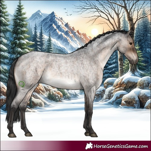 Horse Color:Brown Roan Dun