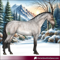 Horse Color:Brown Roan Dun 