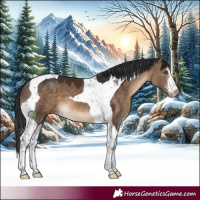 Horse Color:White Spotted Brown Dun Tobiano 