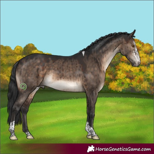 Horse Color:Brown Dun Sabino Tobiano Brindle 