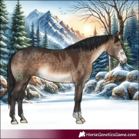 Horse Color:Brown Dun Sabino