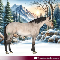 Horse Color:Brown Roan Dun Brindle 