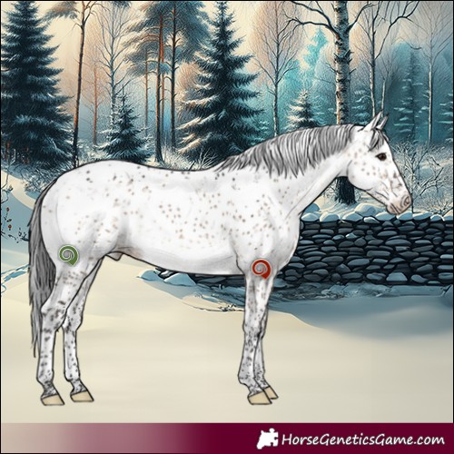 Horse Color:Brown Dun Sabino 
