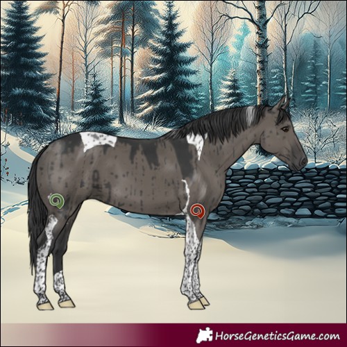 Horse Color:Grullo Tobiano Brindle 