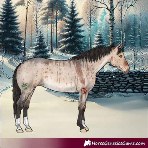 Horse Color:Brown Roan Dun Brindle 