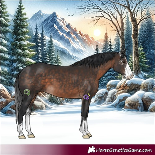 Horse Color:Brown Sabino