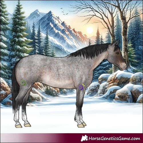 Horse Color:Brown Roan Sabino 