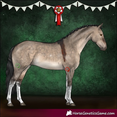 Horse Color:White Spotted Brown Dun Tobiano 