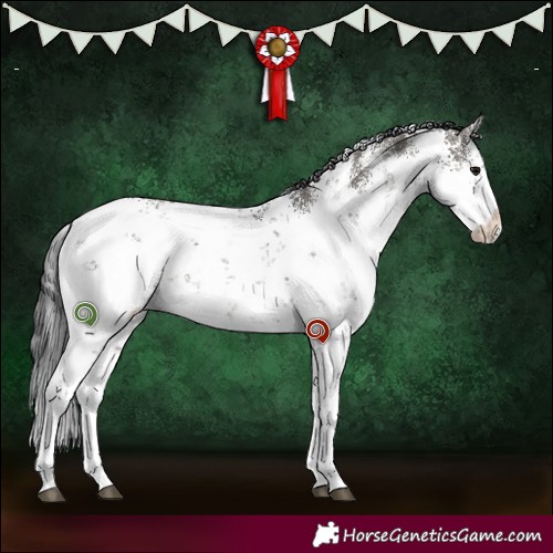 Horse Color:White Spotted Grullo Sabino 