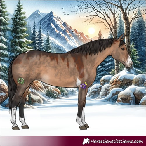 Horse Color:Brown Dun Sabino Tobiano