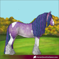Horse Color:Painted Watercolor Brown Tobiano Rabicano 