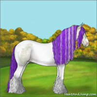 Horse Color:Painted Watercolor Bay Chinchilla Tobiano Rabicano 