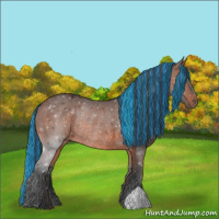 Horse Color:Painted Brown Rabicano 