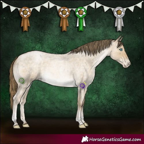 Horse Color:Buckskin Roan Pearl Tobiano 
