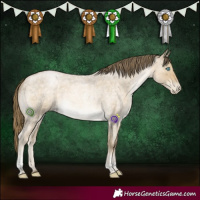 Horse Color:Buckskin Roan Pearl Tobiano 