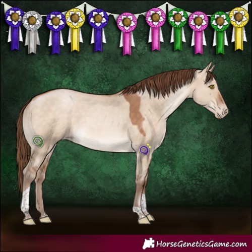 Horse Color:Brown Pearl Dun Tobiano 