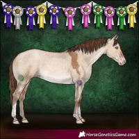 Horse Color:Brown Pearl Dun Tobiano 