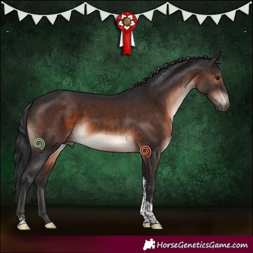 Horse Color:Brown Mushroom Sabino Tobiano 