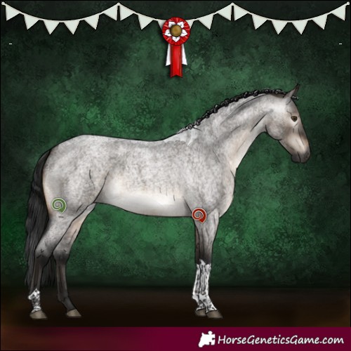 Horse Color:Gray Brown Roan Dun Mushroom Tobiano Brindle 