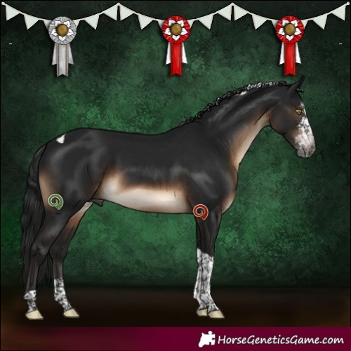Horse Color:Gray Brown Mushroom Sabino Tobiano 