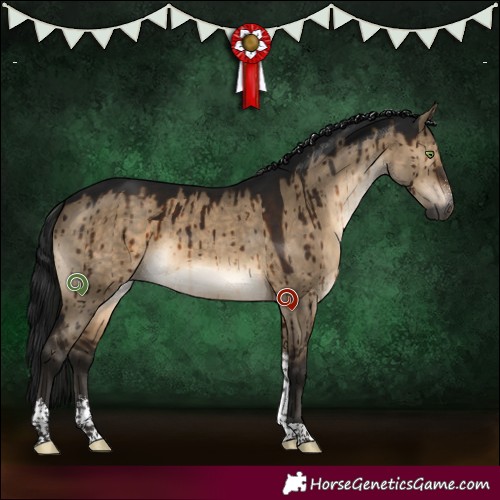 Horse Color:Gray Brown Dun Sabino Tobiano Brindle 