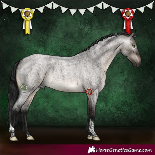 Horse Color:Gray Brown Roan Dun Tobiano 
