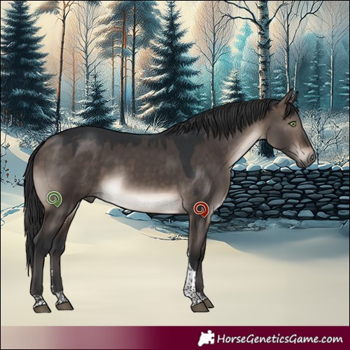 Horse Color:Brown Dun Mushroom Sabino Tobiano 