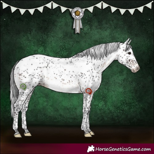 Horse Color:Brown Sabino 