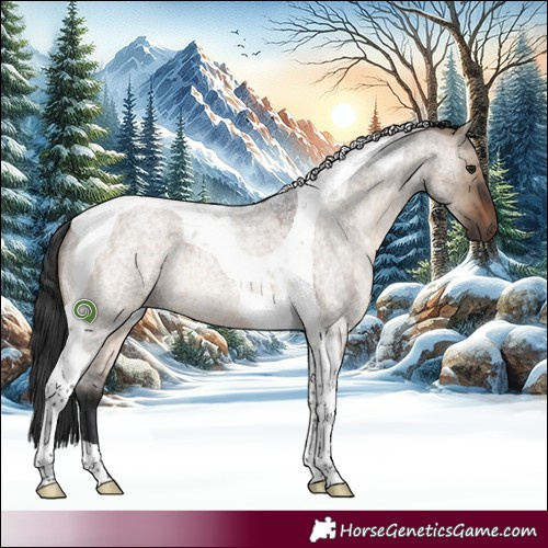 Horse Color:Brown Roan Dun Tobiano