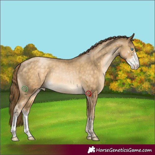 Horse Color:Buckskin Pearl Sabino 