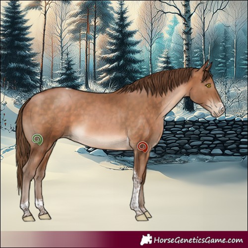 Horse Color:Brown Pearl Sabino Tobiano 
