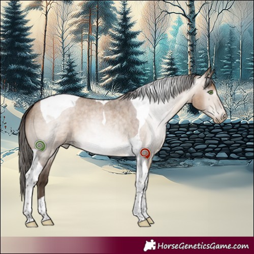 Horse Color:Gray Brown Roan Pearl Dun Tobiano 