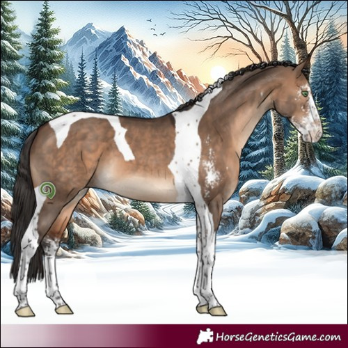 Horse Color:Brown Dun Sabino Tobiano