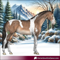 Horse Color:Brown Dun Sabino Tobiano 
