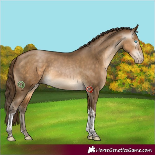 Horse Color:Gray Buckskin Pearl Sabino Tobiano 