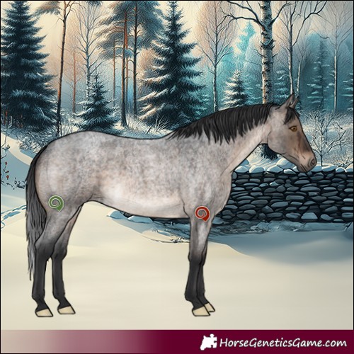 Horse Color:Brown Roan Dun Brindle 