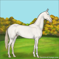 Horse Color:Smoky Creme Roan Dun