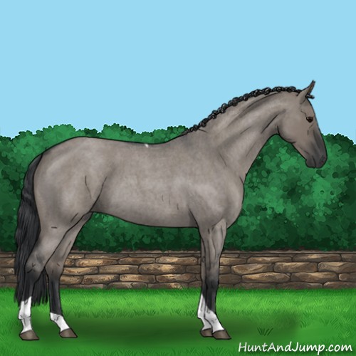 Horse Color:Grullo Roan Tobiano 