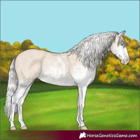 Horse Color:Silver Smoky Creme Sabino 