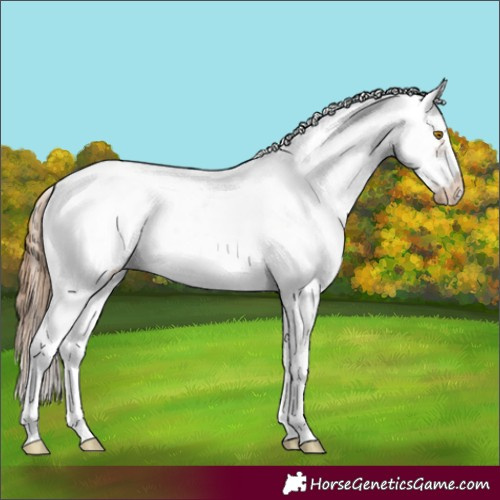 Horse Color:Brown Pearl Sabino Frame Appaloosa Rabicano 