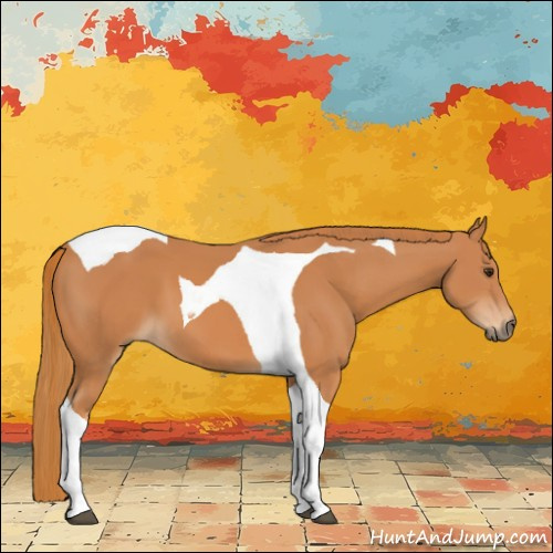 Horse Color:Chestnut Tobiano 