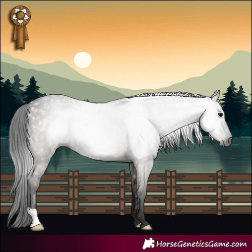 Horse Color:Gray Grullo 