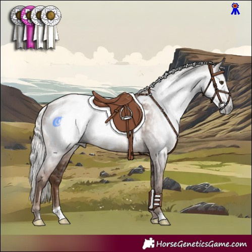 Horse Color:Gray Silver Black Pearl Appaloosa Rabicano 