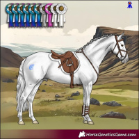 Horse Color:Gray Silver Black Pearl Appaloosa Rabicano