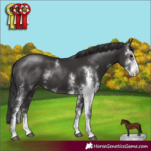 Horse Color:Smoky Black Sabino Rabicano 