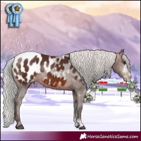 Horse Color:Silver Brown Sabino Blanket