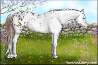 Horse Color:Brown Sabino Splash Appaloosa  and Brown Sabino Splash Appaloosa 